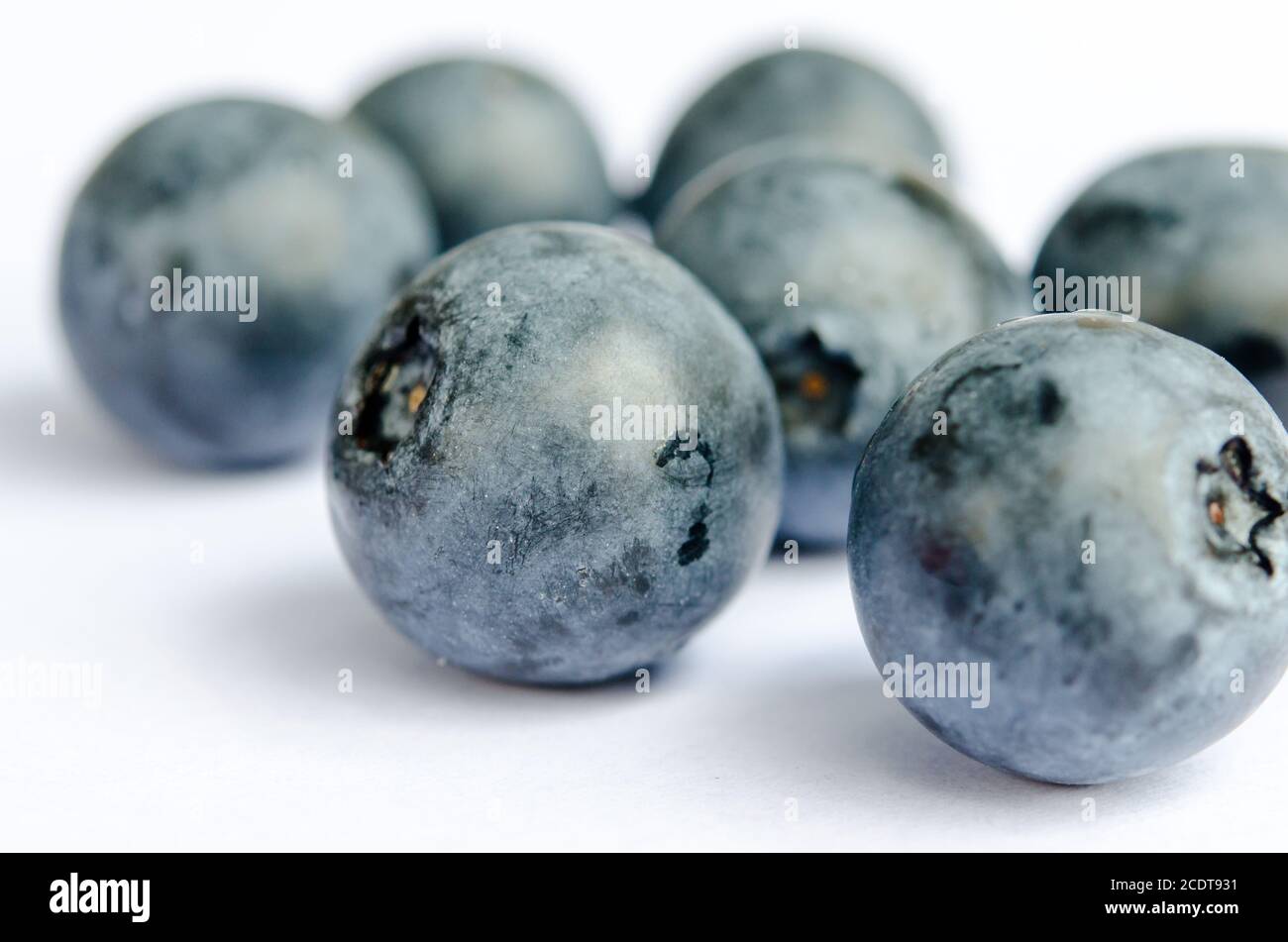 Heidelbeeren Stockfoto