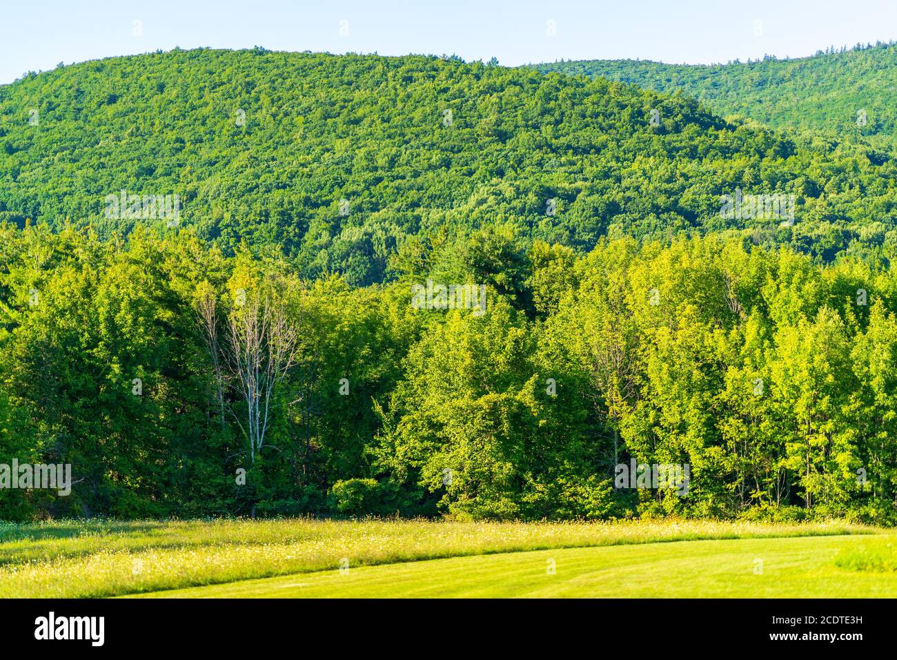 Landschaftlich schöne grüne Landschaft im Upstate New York. Stockfoto