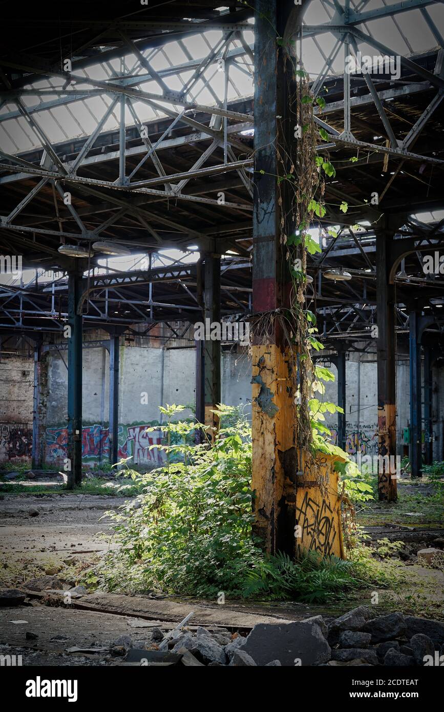 Verfallene Fabrikhalle in einer verlassenen Fabrik in Magdeburg in Deutschland Stockfoto