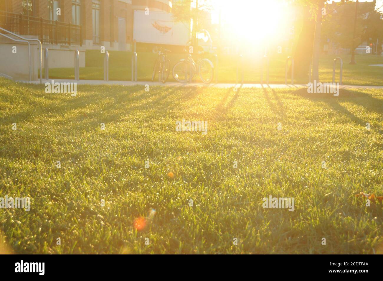 Lass Die Sonne Leuchten Stockfoto