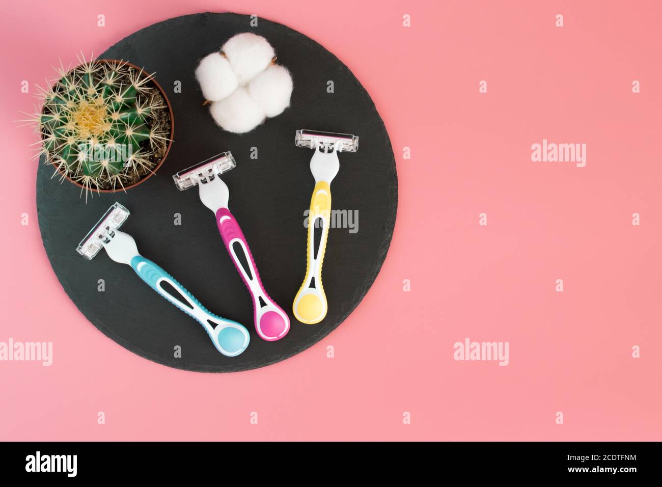 Dreifarbige weibliche Rasiermaschine neben Kaktus und Baumwolle auf weißem Hintergrund mit Kopierfläche in einem minimalistischen Stil, Vorlage für Text Stockfoto