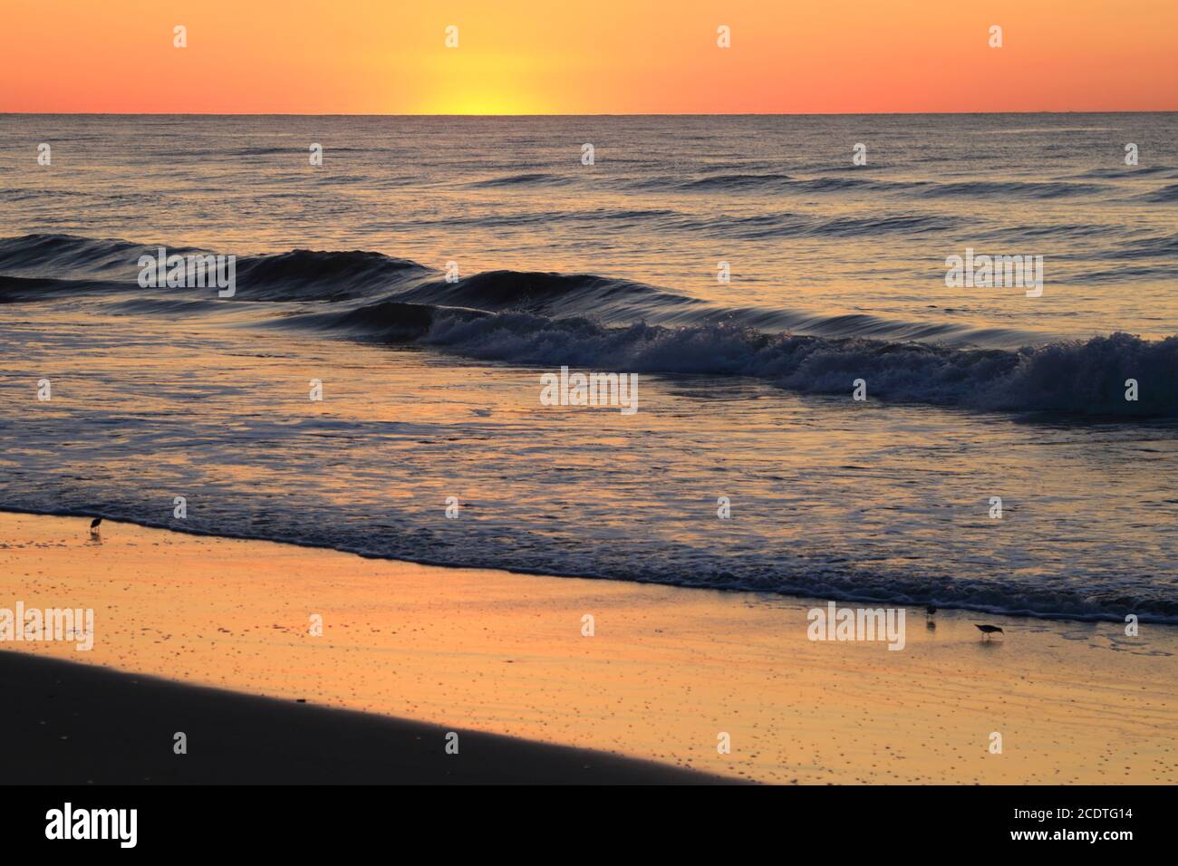 Der orange Schein der Sonne beginnt über dem Atlantischen Ozean in Avalon, New Jersey, USA aufzugehen Stockfoto