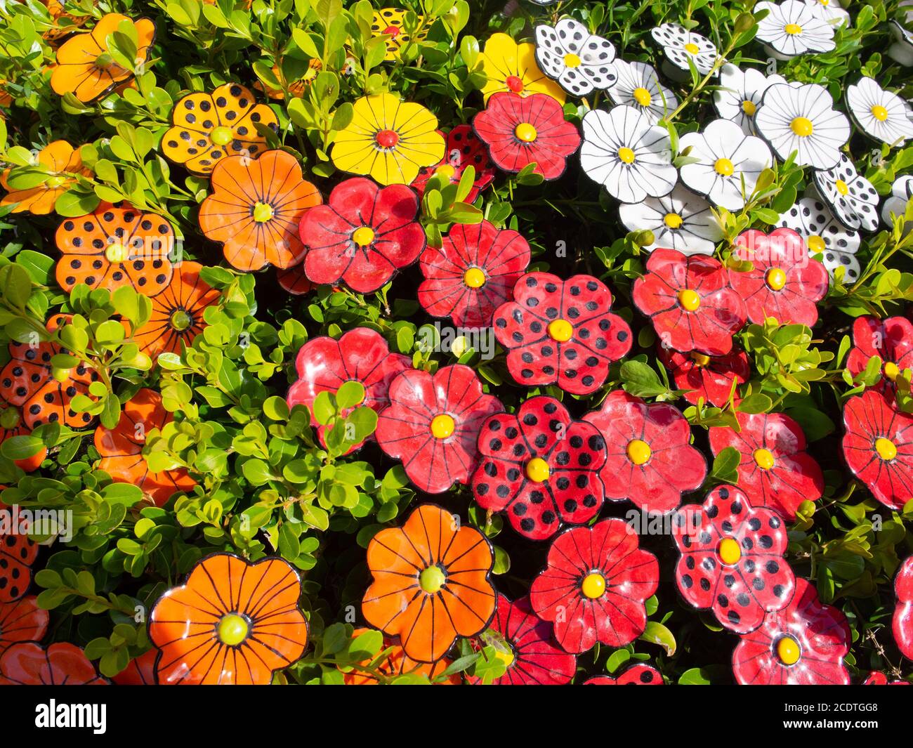 Lebendige Bunte Keramik Blumen Garten Stockfoto