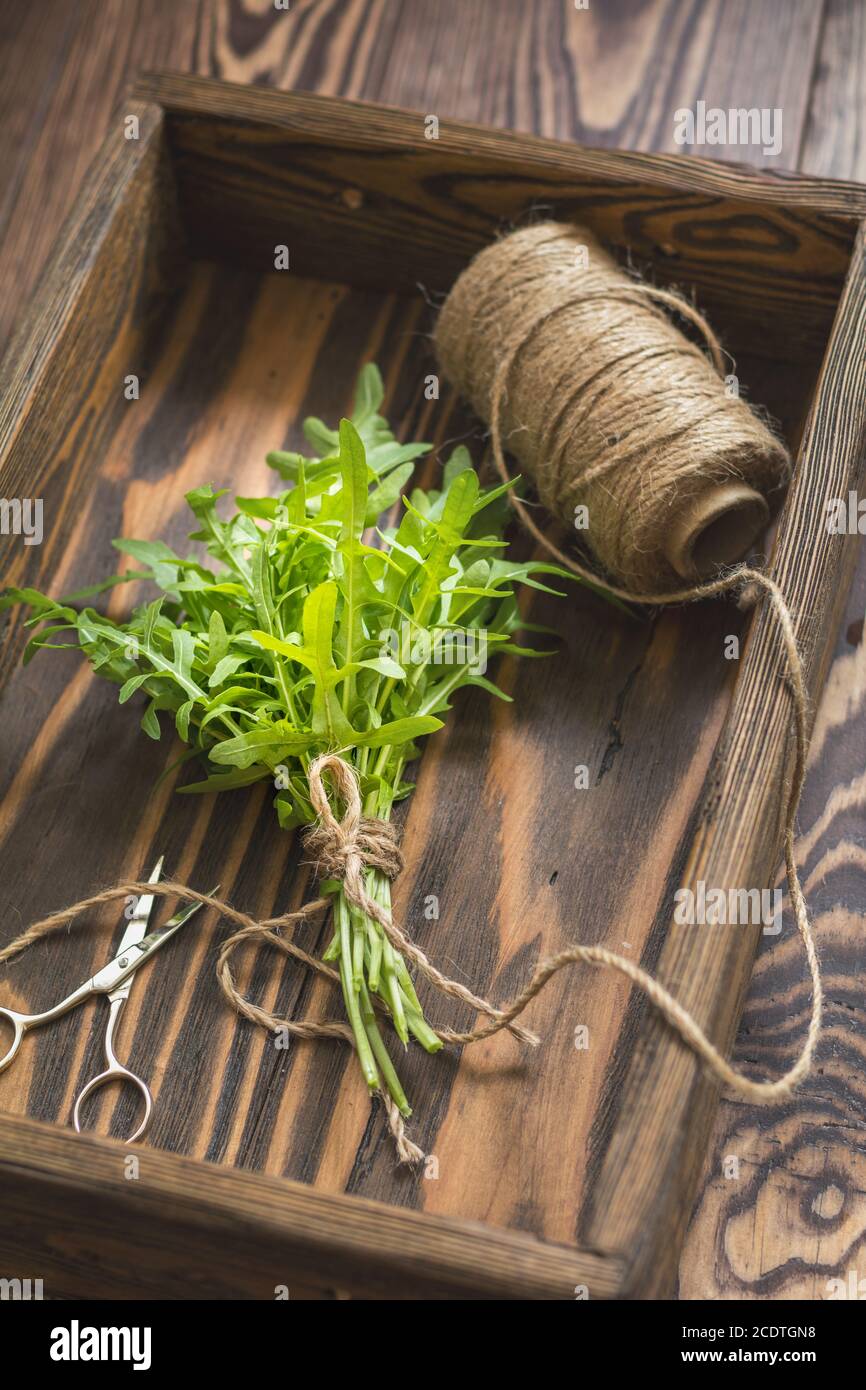 Ansicht von oben auf die Bündel von frischem Rucola in einer Holzkiste. Dunklen Hintergrund. Getönten Foto. Geringe Tiefe des Feldes. Stockfoto