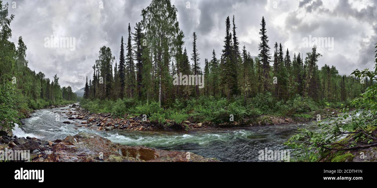 Panorama des schnell fließenden Gebirgsflusses zwischen dichten Wäldern und Riesige Steine Stockfoto
