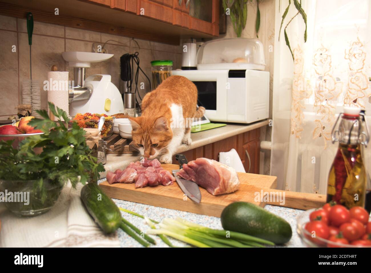 Süße rote Katze stehlen Fleisch vom Küchentisch. Kleine, gemütliche Küche mit Haushaltsgeräten. Gemütliche home Konzept Stockfoto