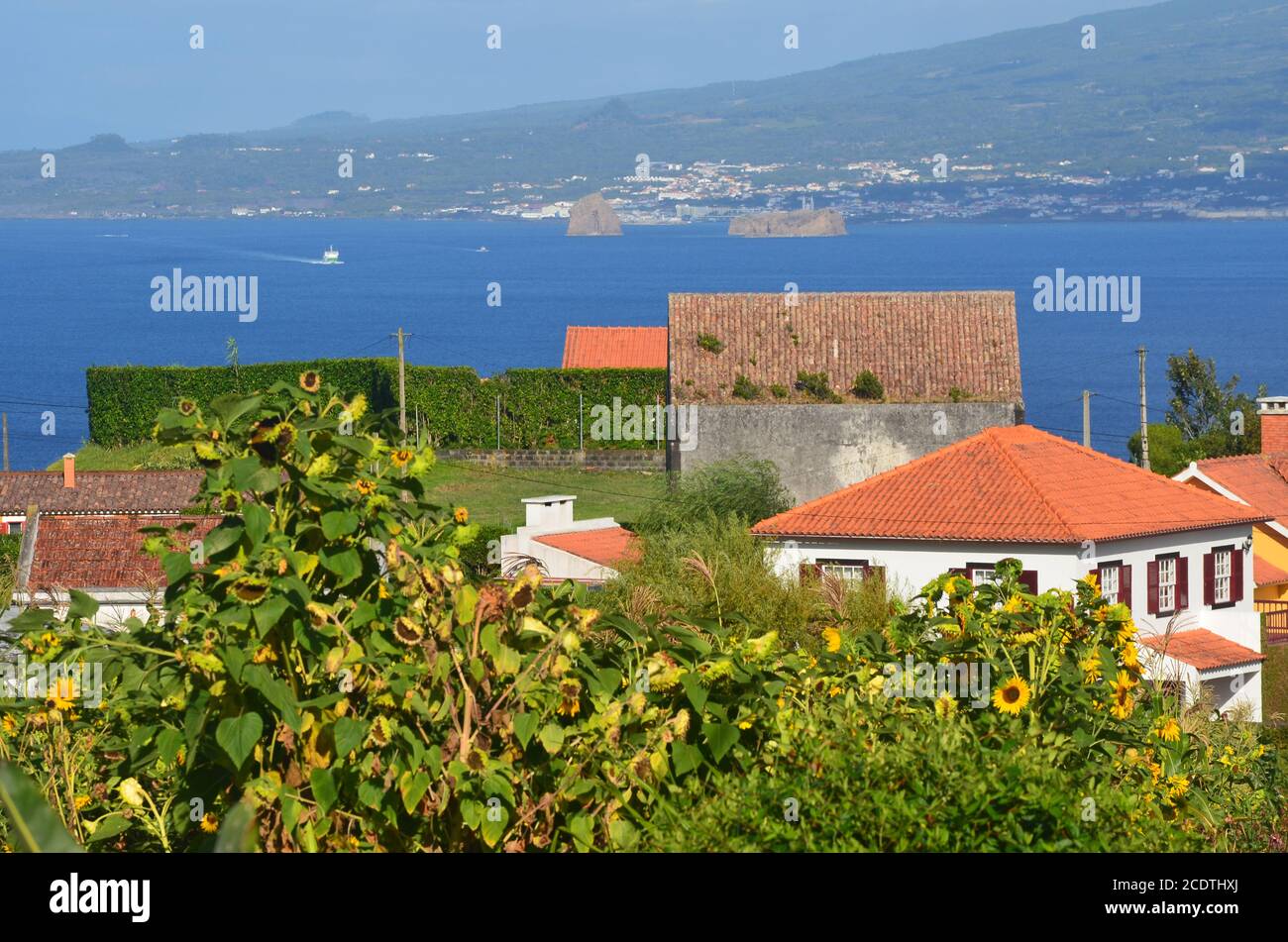 Die kleine, aber reich an Geschichte Stadt Horta in Faial Insel, Azoren Archipel, Portugal Stockfoto