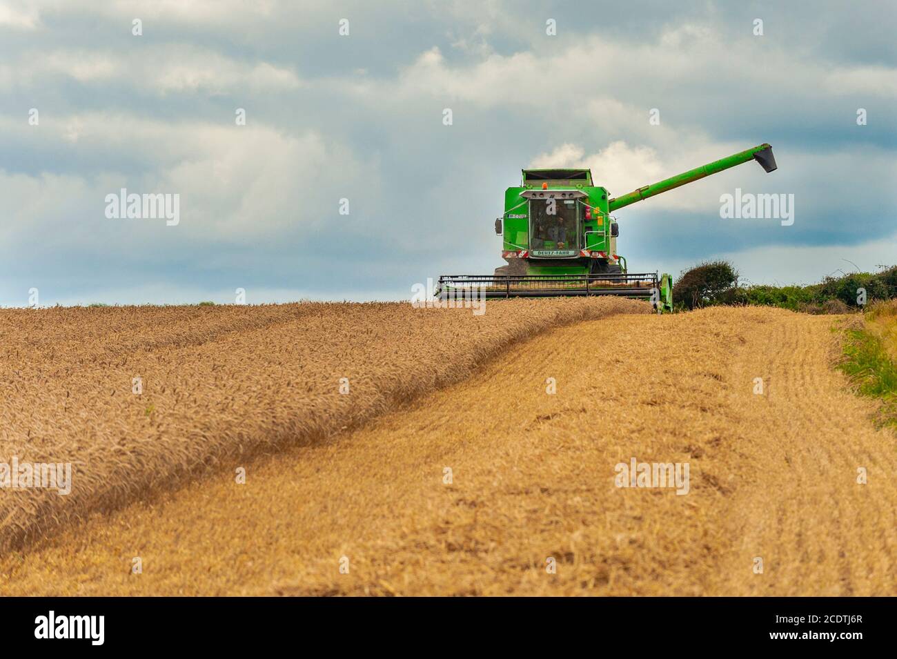 Ballycotton, East Cork, Irland. August 2020. Ein Deutz-Fahr Topliner 4080 HTS Combine Harvester von Barry & John Flavin schneidet an einem sonnigen Tag in East Cork Winterweizen auf der Ballycotton Farm von Alan & John Dunne. Quelle: AG News/Alamy Live News Stockfoto