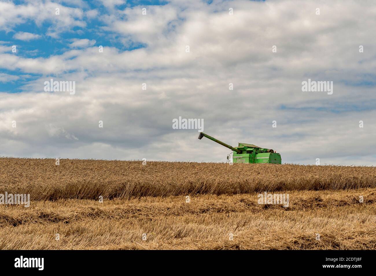 Ballycotton, East Cork, Irland. August 2020. Ein Deutz-Fahr Topliner 4080 HTS Combine Harvester von Barry & John Flavin schneidet an einem sonnigen Tag in East Cork Winterweizen auf der Ballycotton Farm von Alan & John Dunne. Quelle: AG News/Alamy Live News Stockfoto