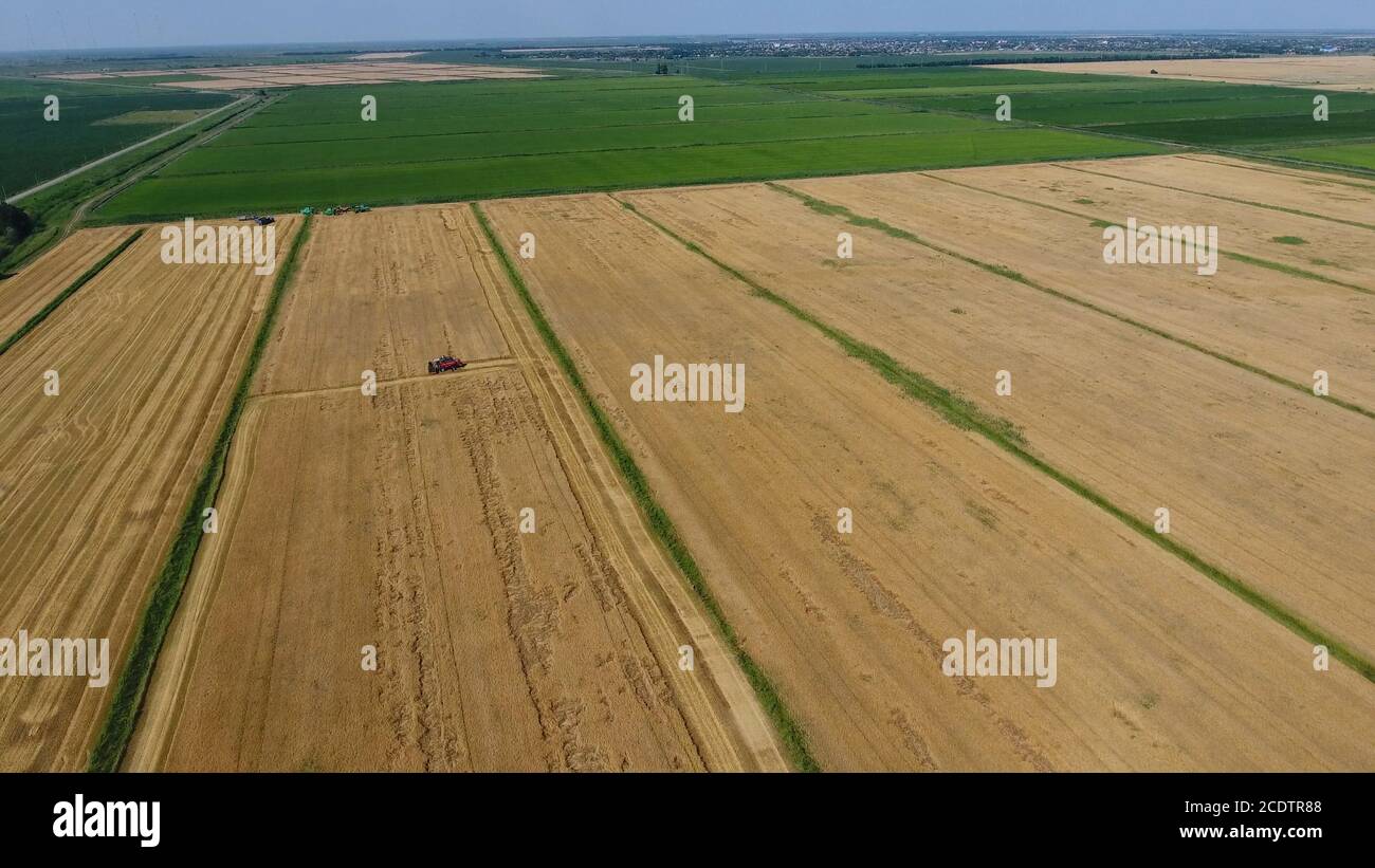 Ernte Gerstenernter. Felder von Weizen und Gerste, die Arbeit der landwirtschaftlichen Maschinen. Mähdrescher und Traktoren Stockfoto