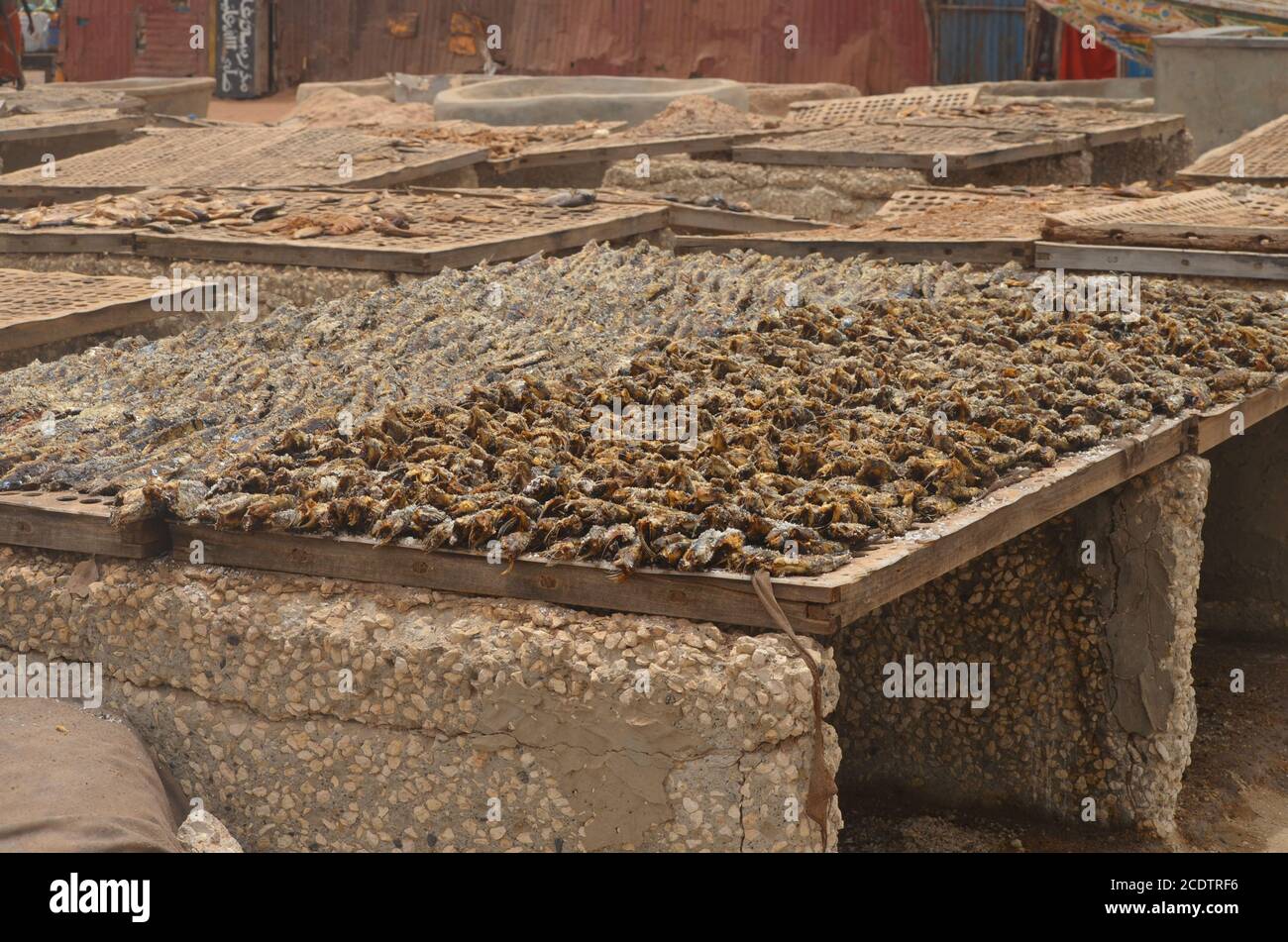 Racks von sonnengetrocknetem (guédj), gesalzenem und/oder geräuchertem Fisch (kétiakh) in Cayar (Senegal), einem unverzichtbaren Lebensmittel in ganz Westafrika Stockfoto