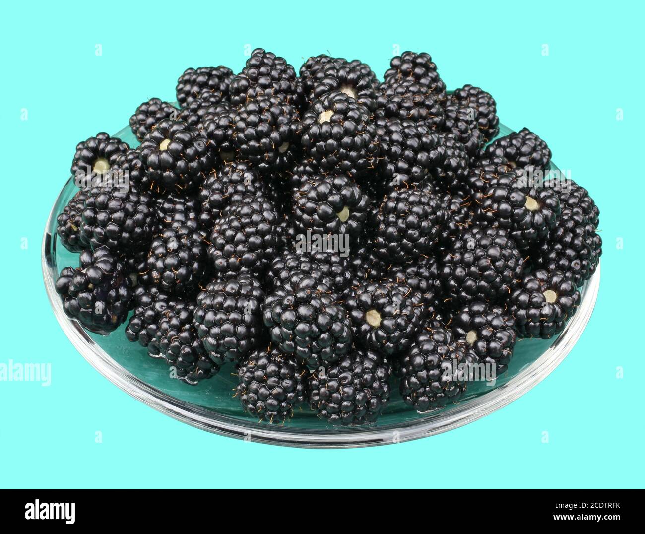 Reife schwarze Beeren der süßen Garten Brombeere liegen auf einer Glasplatte. Stockfoto