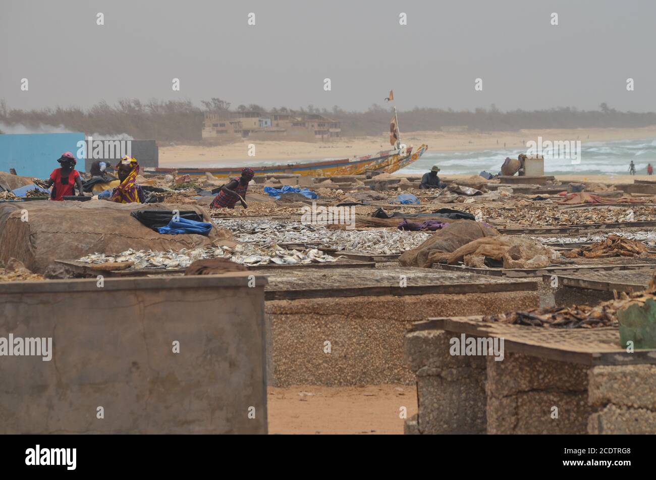 Racks von sonnengetrocknetem (guédj), gesalzenem und/oder geräuchertem Fisch (kétiakh) in Cayar (Senegal), einem unverzichtbaren Lebensmittel in ganz Westafrika Stockfoto