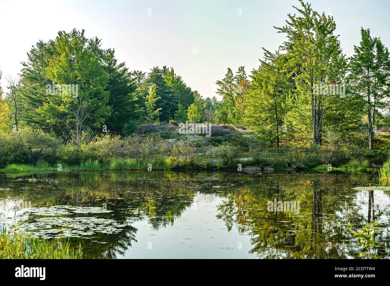 Reflexionen über ruhigen See Stockfoto