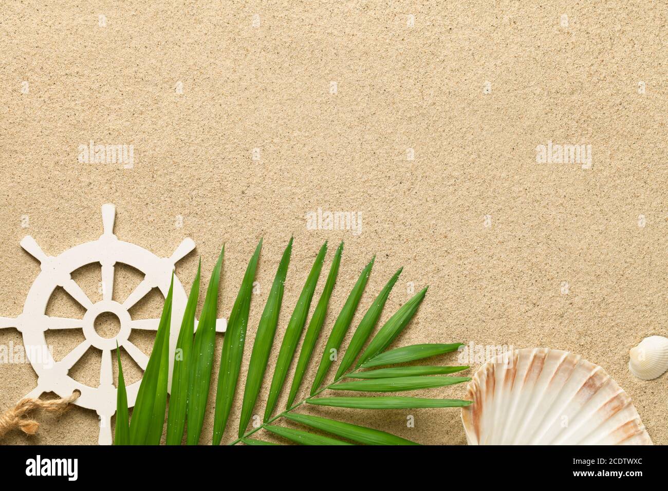 Sommerhintergrund mit grünem Palmenblatt, dekorativem Schiff Lenkrad und Muscheln Stockfoto