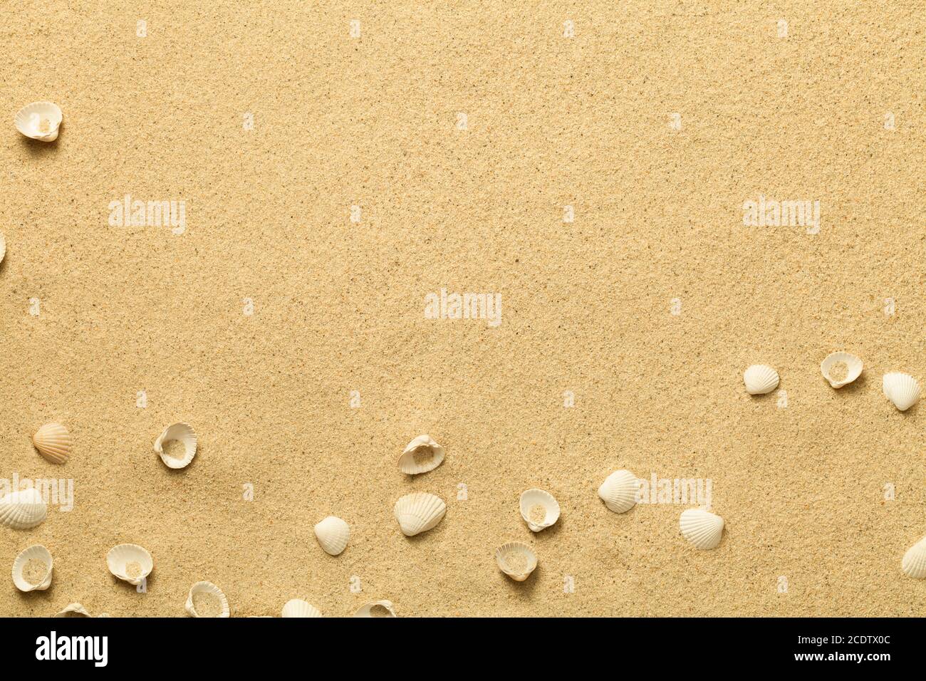Sommer, Sandhintergrund mit Muscheln Stockfoto Sommer, Sandhintergrund mit Muscheln Stockfoto