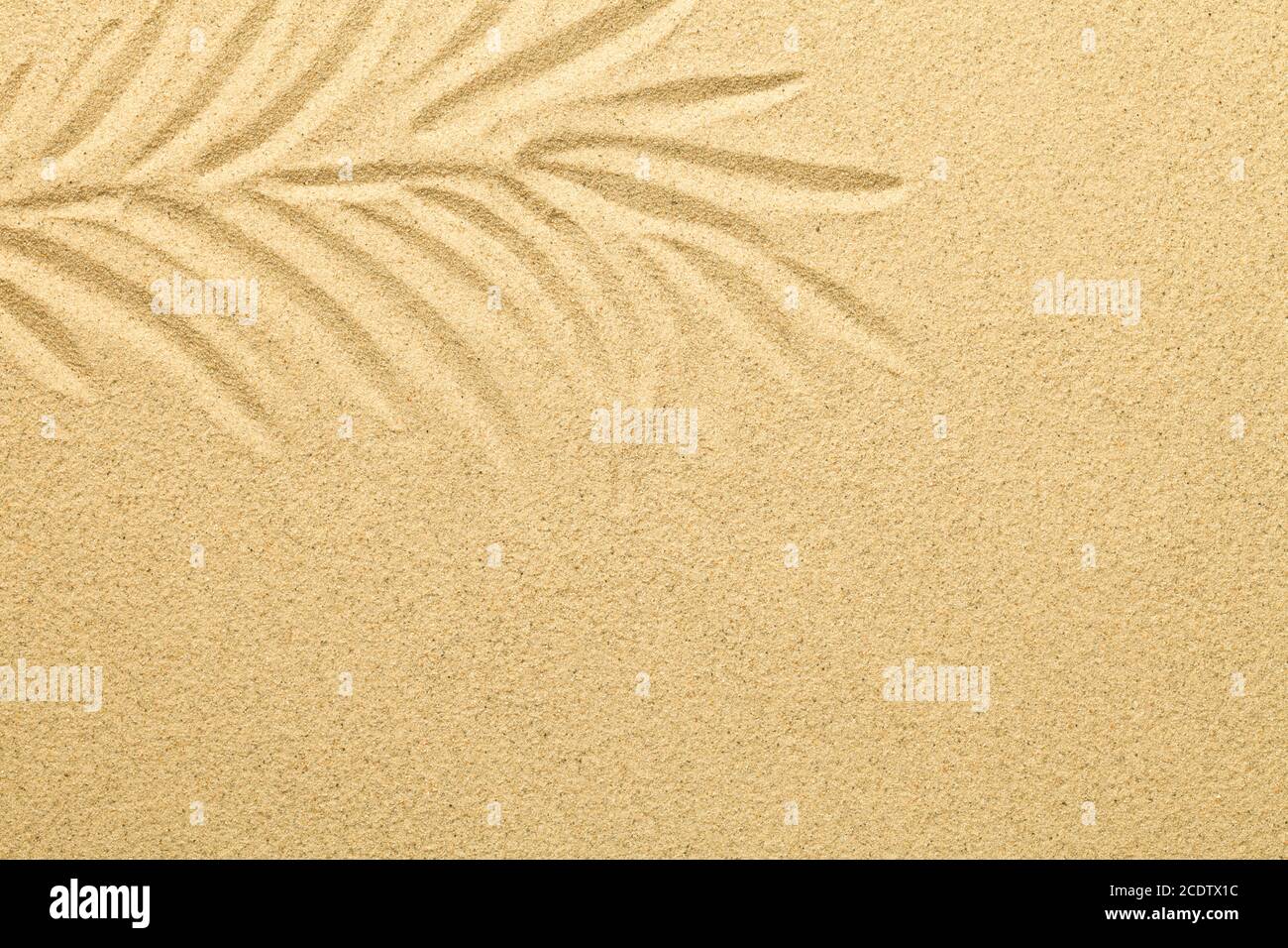 Palmenblatt in den Sand gezogen. Sommerhintergrund Stockfoto