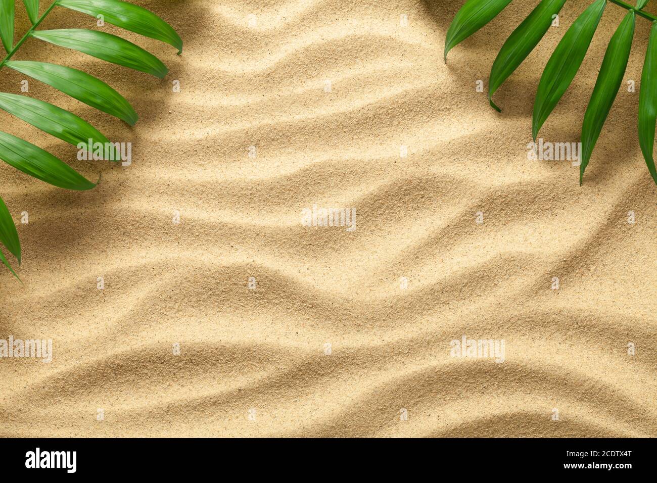 Sommer Hintergrund mit grünen Palmenblättern Stockfoto Sommer Hintergrund mit grünen Palmenblättern Stockfoto