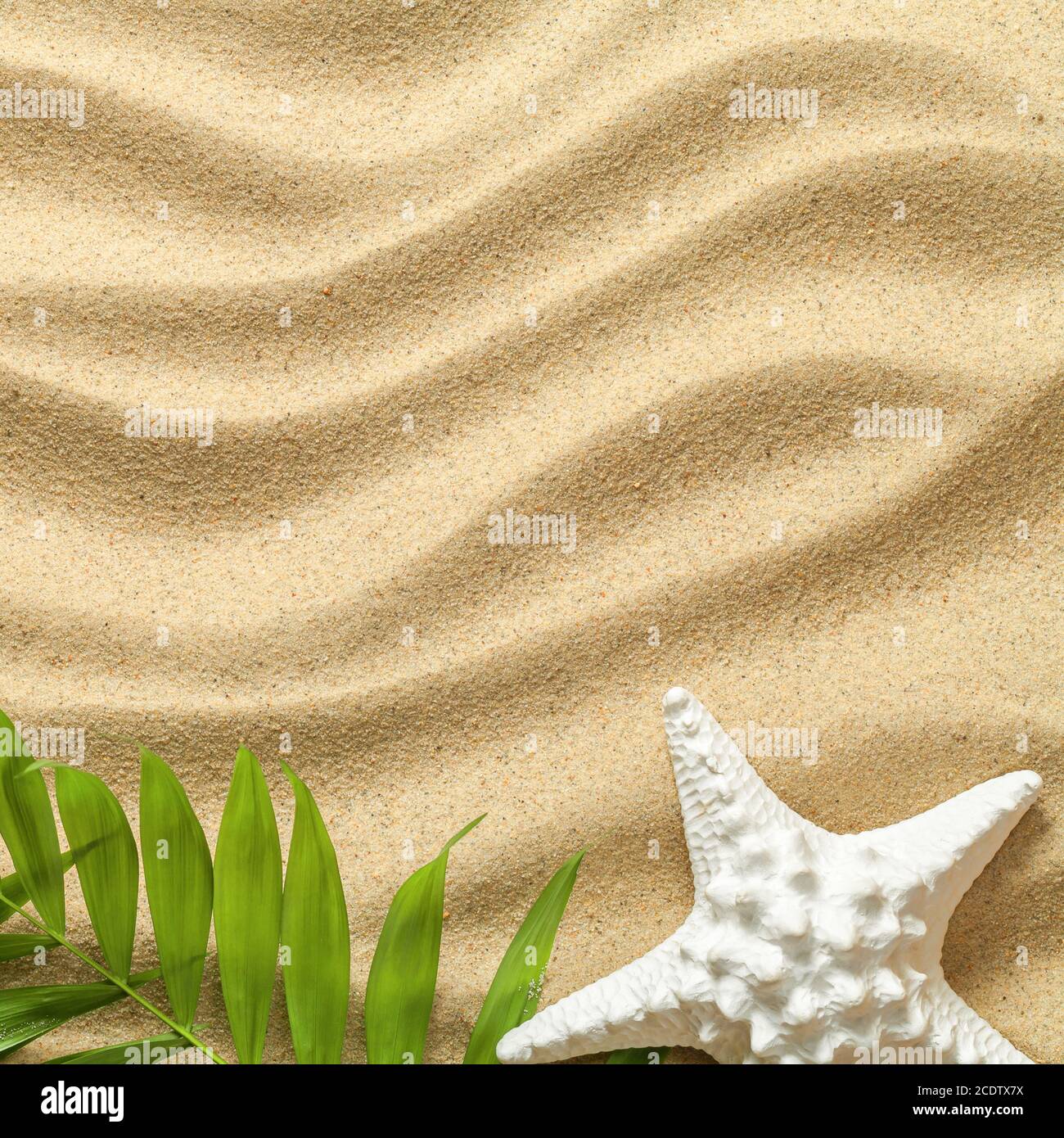 Sommer Hintergrund mit grünen Palmblättern und Seestern Stockfoto Sommer Hintergrund mit grünen Palmblättern und Seestern Stockfoto