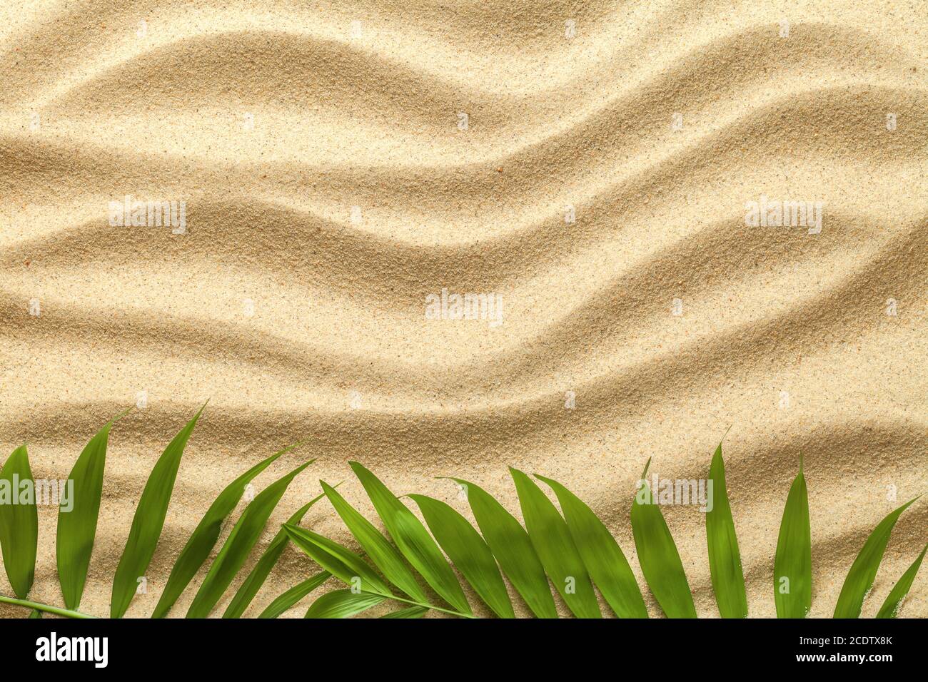 Sommer Hintergrund mit grünen Palmenblättern Stockfoto Sommer Hintergrund mit grünen Palmenblättern Stockfoto
