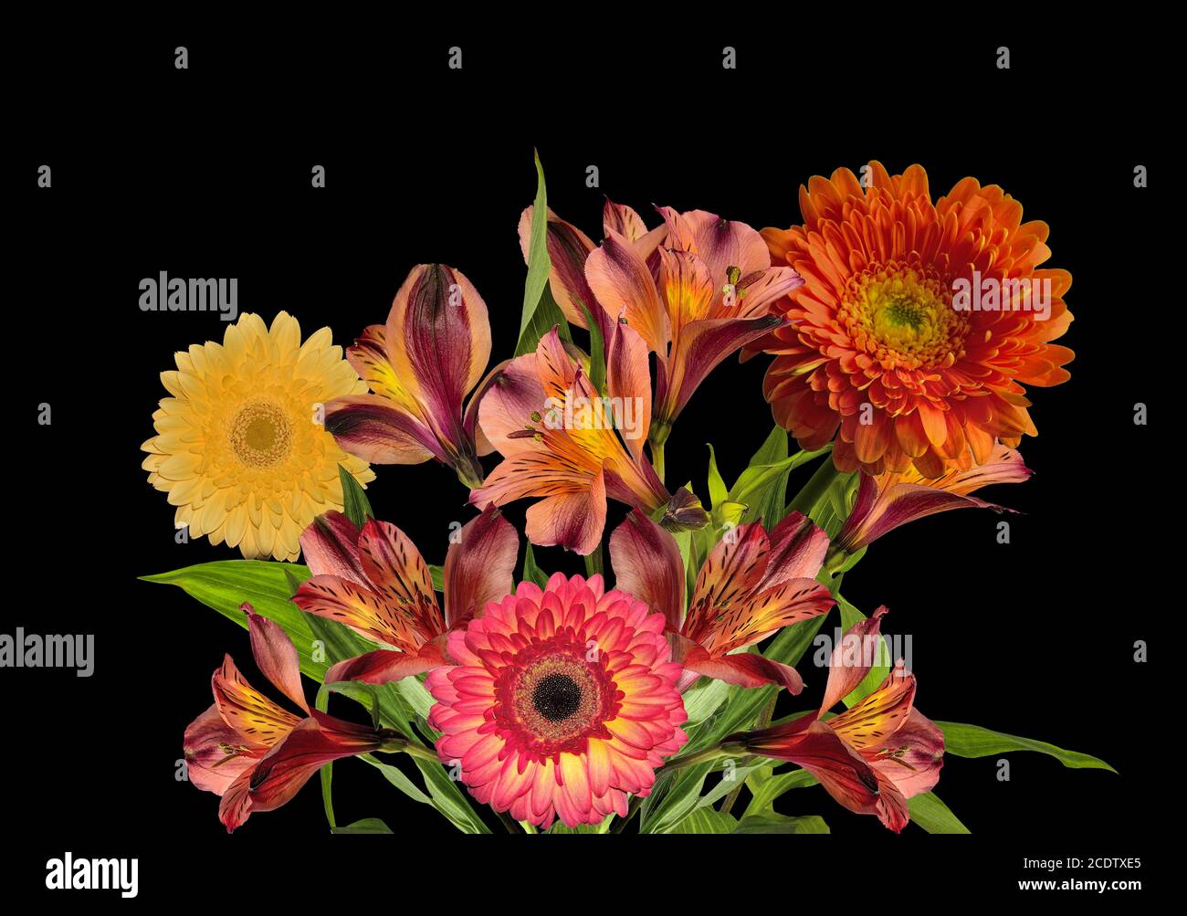 Bouquet von schönen orange und gelben Blüten isoliert auf schwarz Stockfoto
