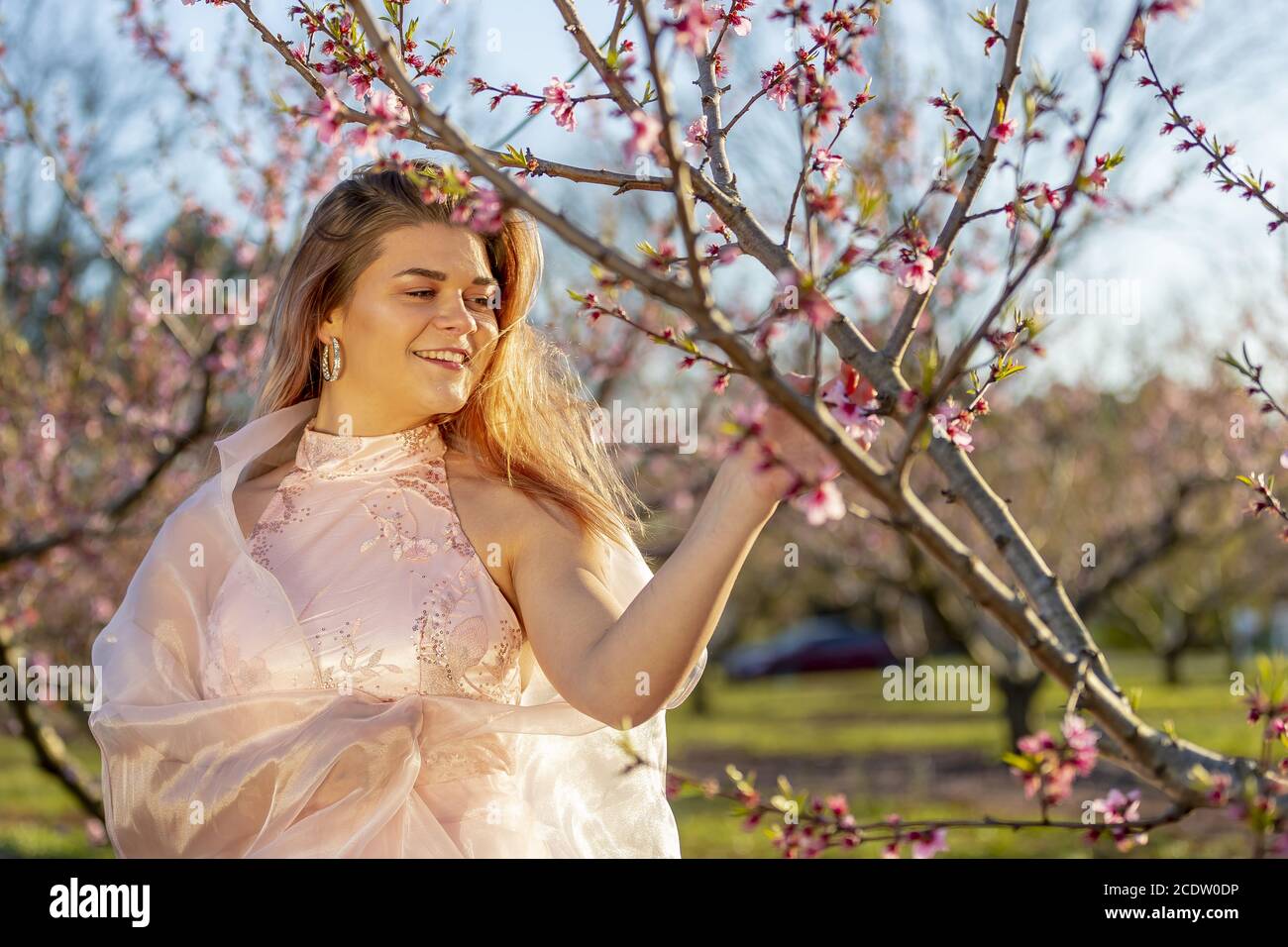 Junge Brünette Teenager Posiert Für Prom Pictures Stockfoto