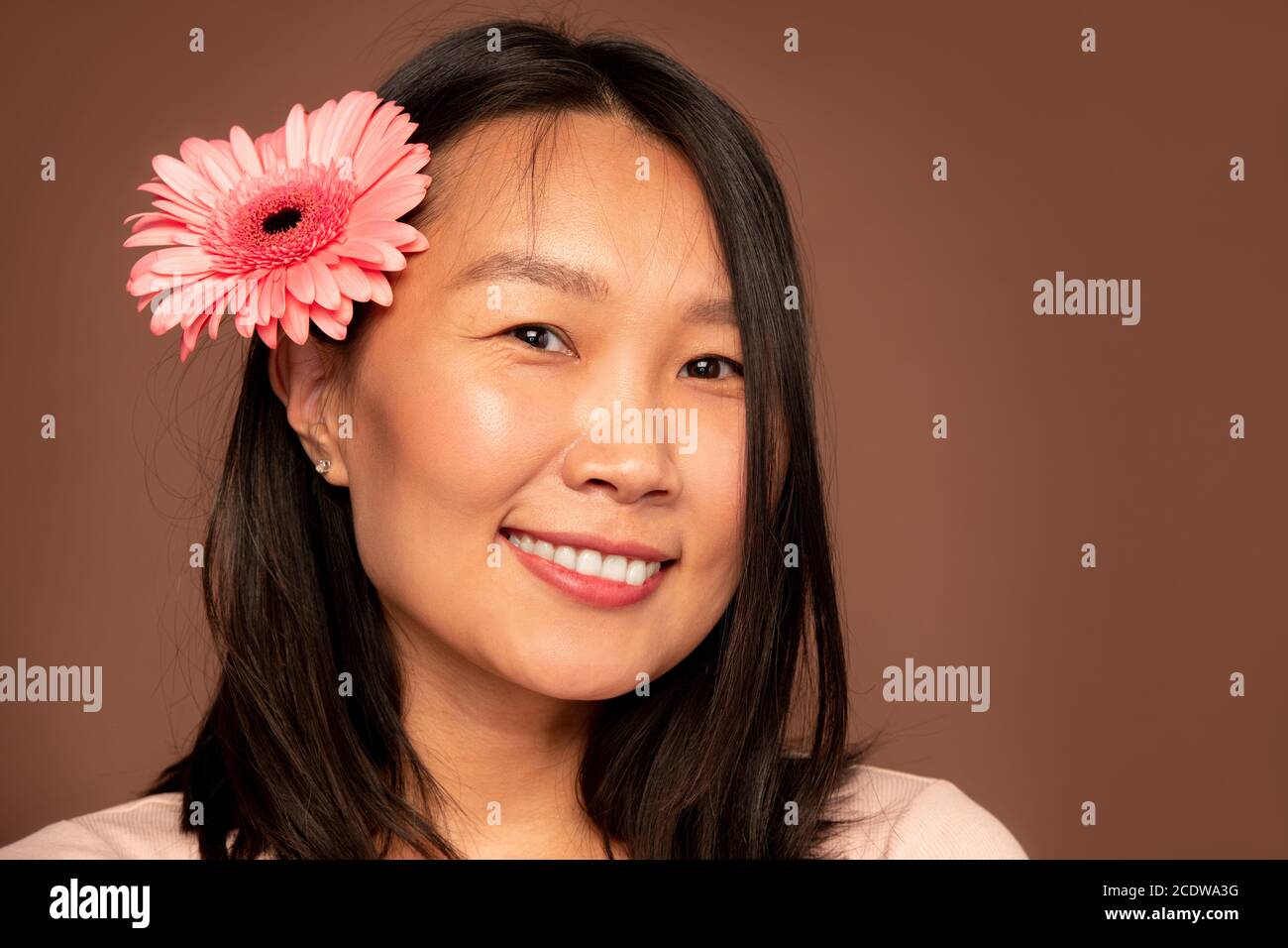 Glückliche junge asiatische Frau mit schönen rosa Herbera in dunkel Langes Haar Stockfoto