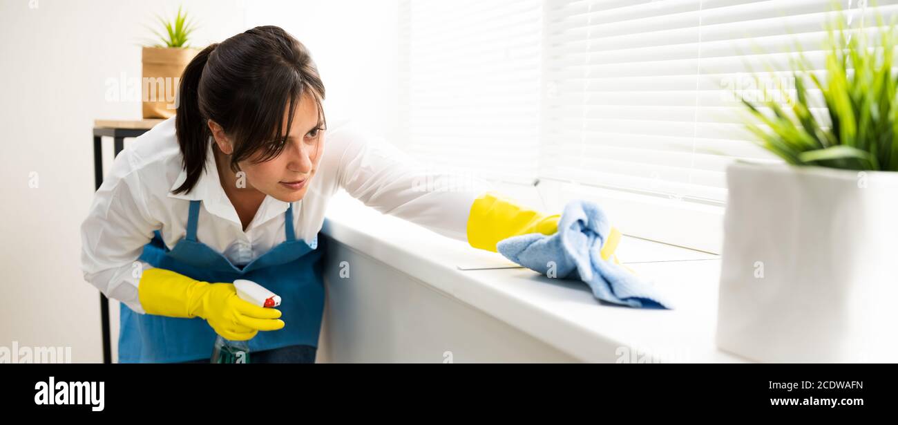 Professioneller Reinigungsservice Für Das Haus. Zimmerreinigung Und Zimmermädchen Stockfoto