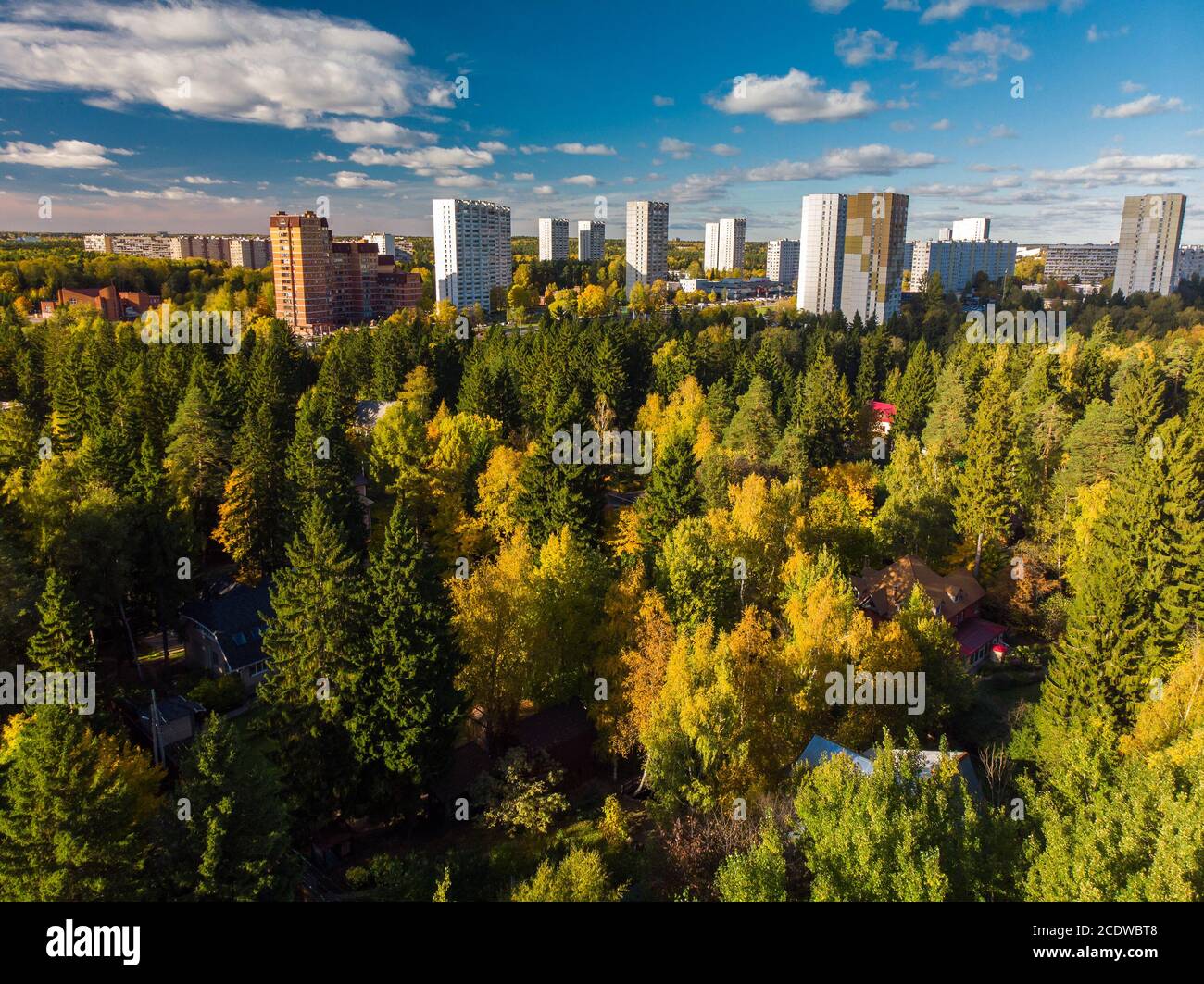 Draufsicht auf ökologisch sauberen Bereich von Moskau mit Herbst Wald. Russland Stockfoto