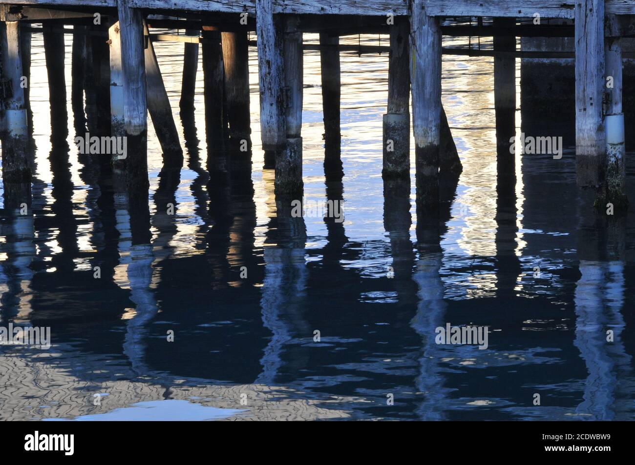 Wasserspiegelungen am Fährhafen Interisander, NZ Stockfoto