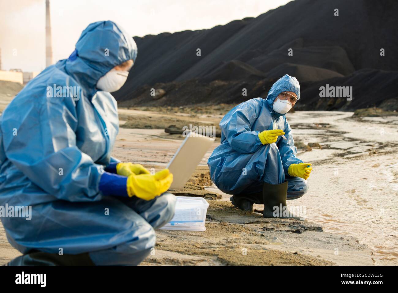 Junge Ökologin hält Probe von schmutzigem Wasser beim Schauen Bei Kollegen Stockfoto