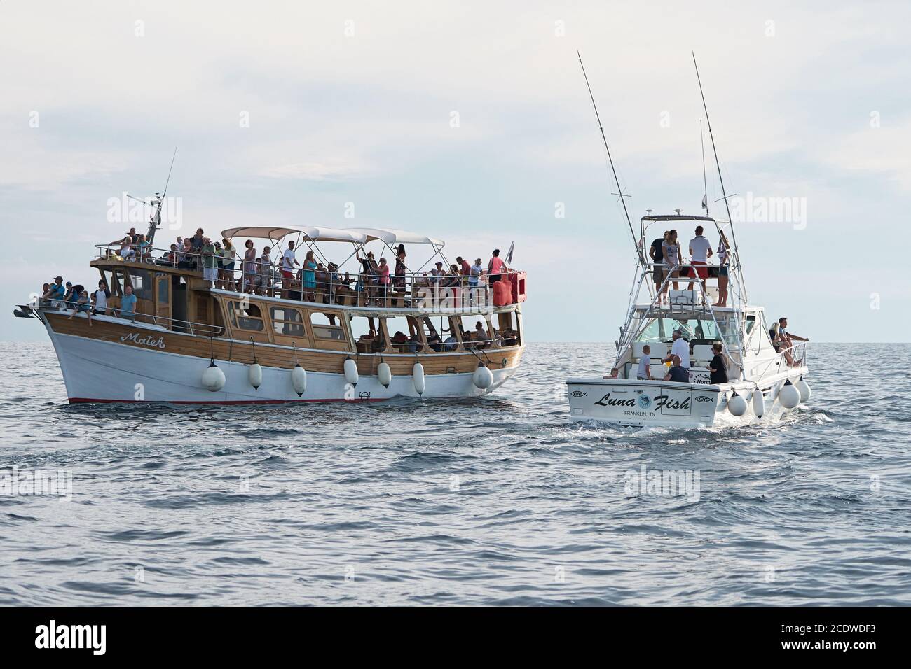 Touristen auf Exkursion Boote vor der Küste von Porec in Kroatien auf der Suche nach Delphinen Stockfoto