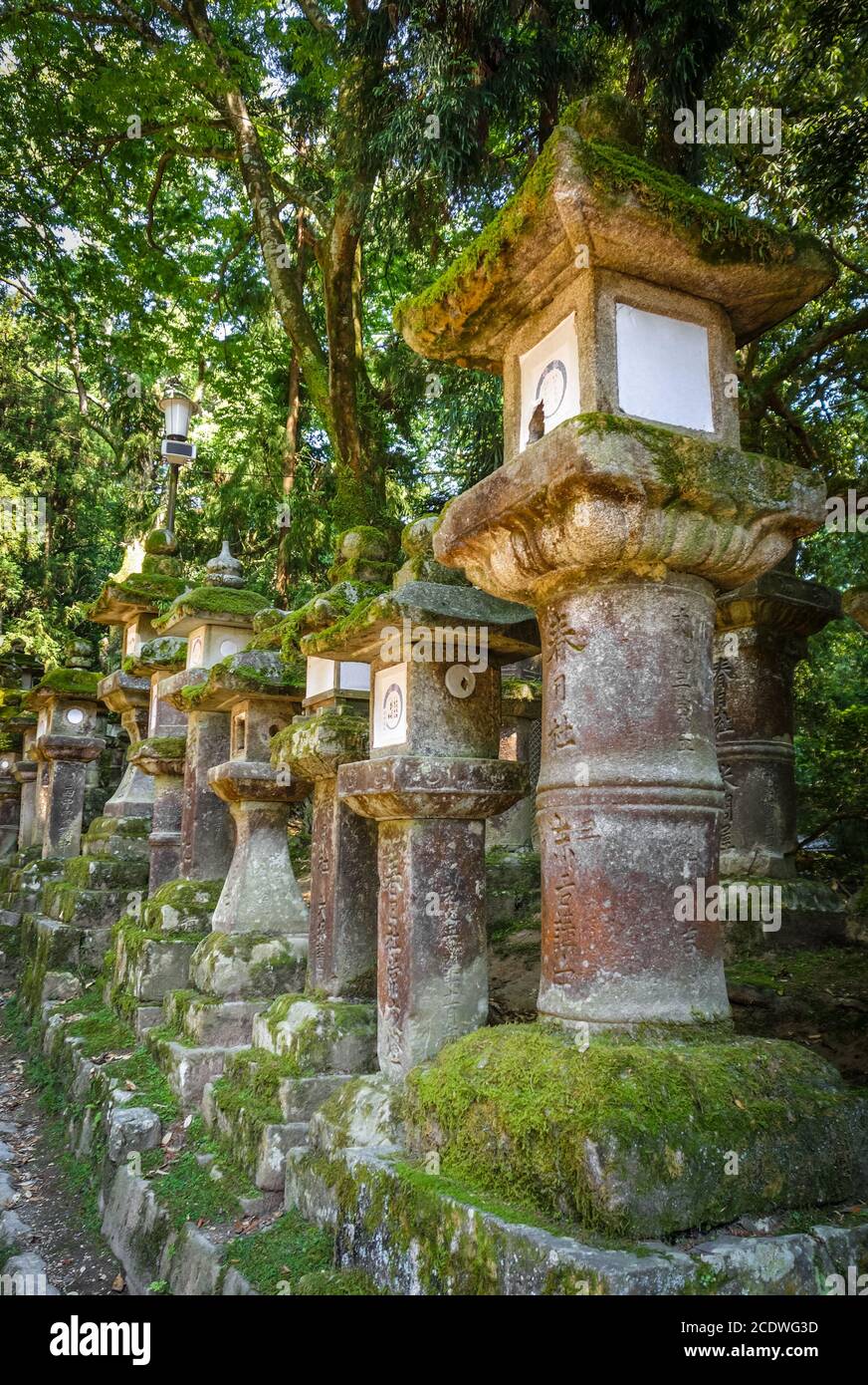 Kasuga-Taisha-Schreins Laternen, Nara, Japan Stockfoto