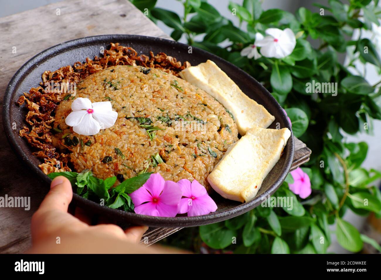 Vietnamesische hausgemachte Speisen für die Mittagszeit, Frau Hand halten gebratenen Reisplatte mit Tofu bereit zu essen, einfache vegane Lebensmittel für Vegetarier aus der Sicht Stockfoto