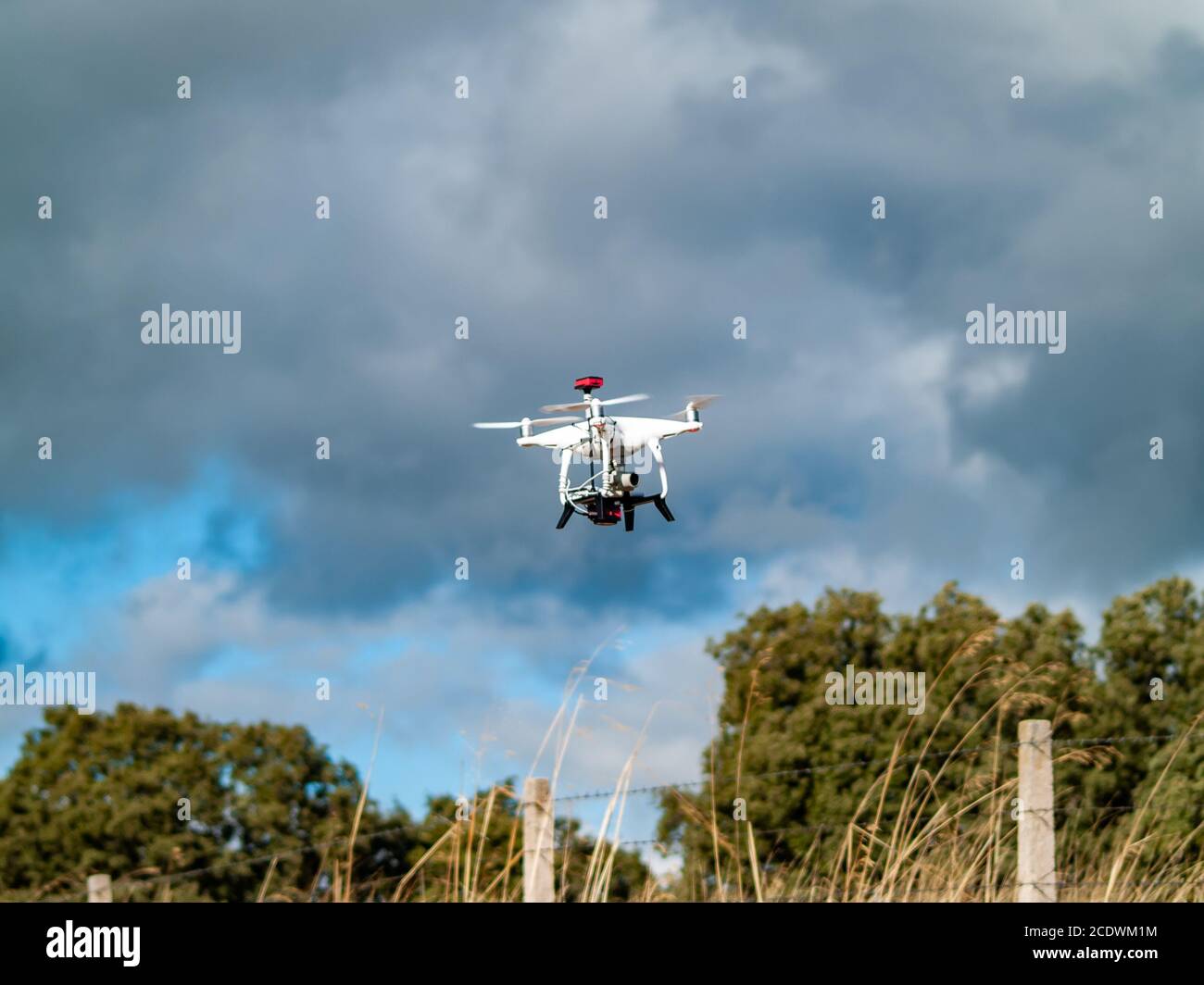 Eine Drohne in Bewegung fliegen im Wald in den bewölkten Himmel und Bäume in der Nähe von Stockfoto