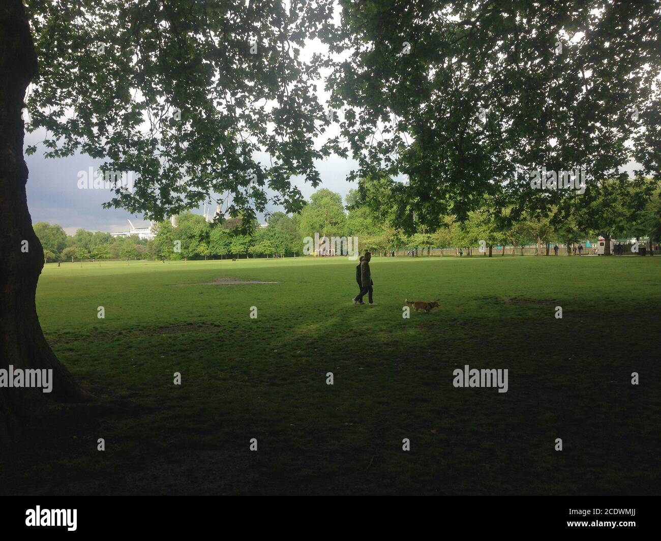 Battersea Park nach dem Sturm Stockfoto