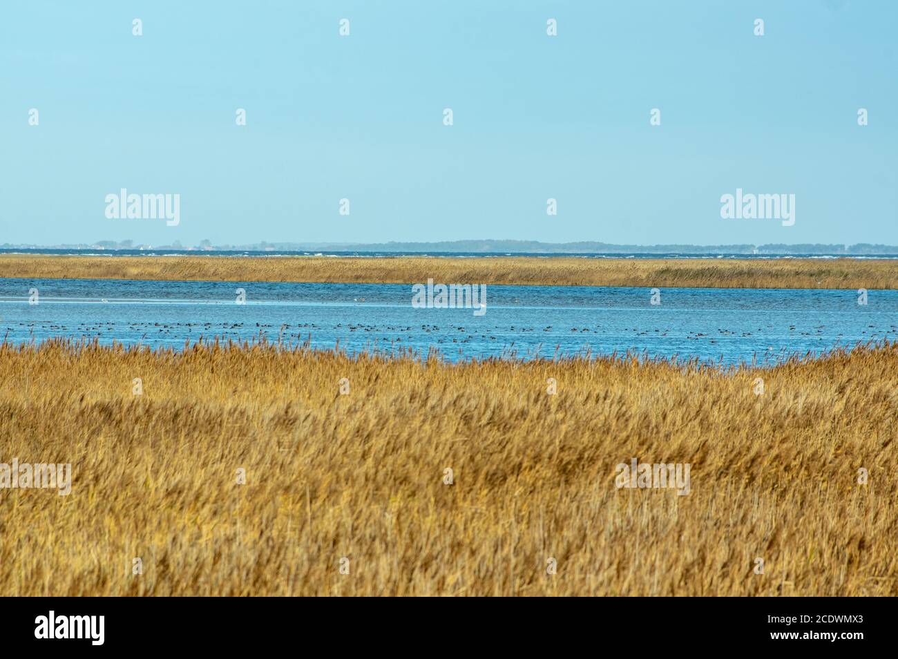 Naturschutzgebiet an der Eastsea Stockfoto