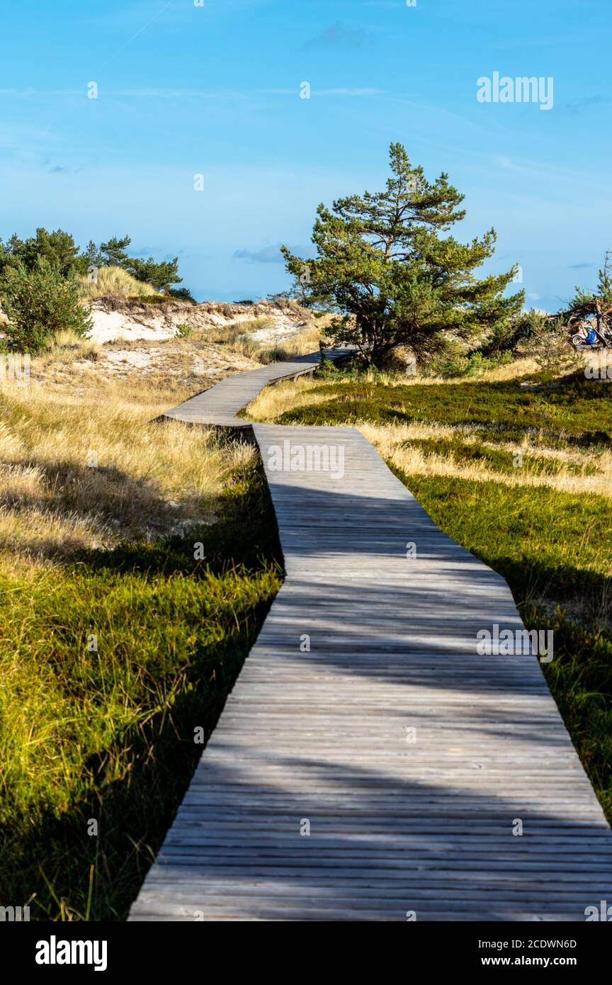Wandern am Meer in einem Naturschutzgebiet bei Die Eastsea Stockfoto