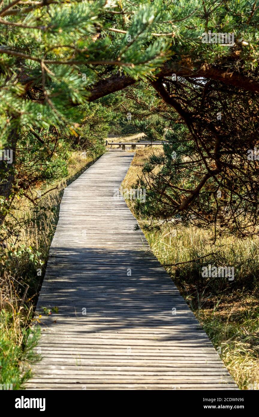 Wanderweg am Naturschutzgebiet am Ostsee Stockfoto