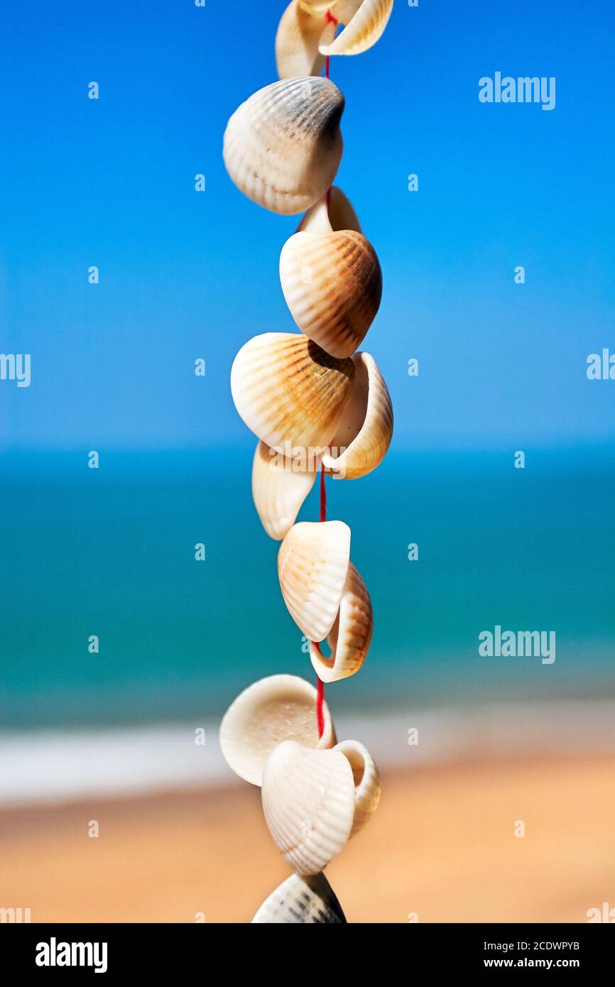 Muscheln an einer Schnur vor Himmel, Meer und Sandstrand Stockfoto