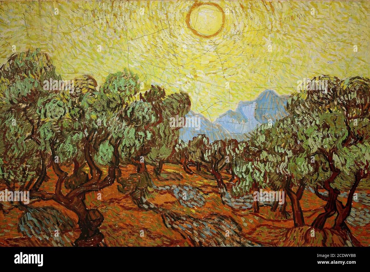Van Gogh Olive wachsen mit gelben Himmel Stockfoto
