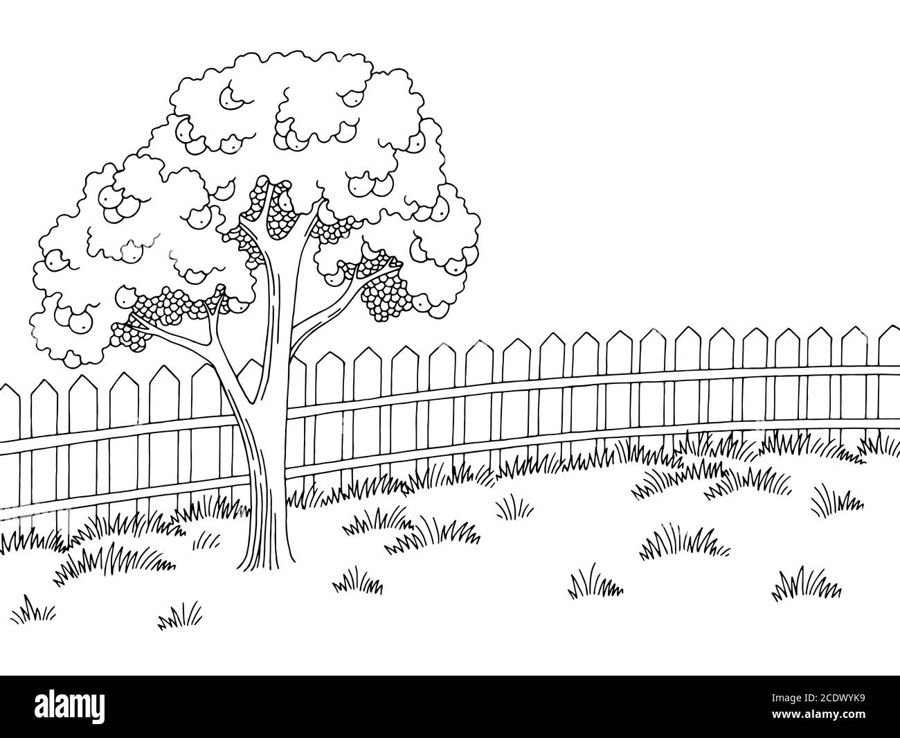 Garten Grafik schwarz weiß Landschaft Apfelbaum Skizze Illustration