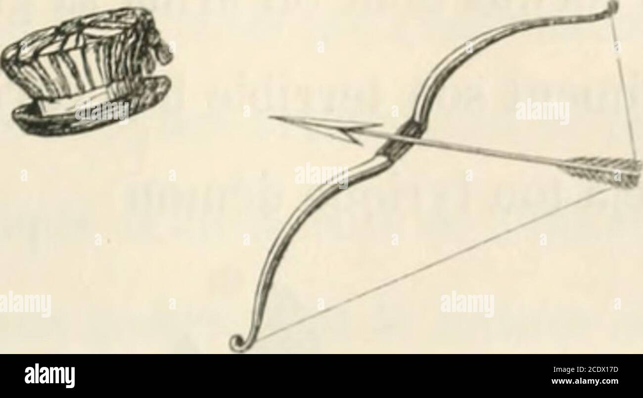 . Némésis médicale illustrate : recueil de satires . CINQUIÈME SATIRE. I Fouettons dun vers saoglanl ces grands hommes du juin. Gilbert. M. oimi, . A toi, fils adoptif, adepte énergunièneDes frelons couronnés de la Grand» semaine,Qui dans le Luxembourg au solitaire seuilA côté de Thénard enviais un fauteuil ;Exotique Amphyon, que la voix cadencéeDe Némésis ardente apaise la pensée;Contrains-la désormais déteindre oulses à. 98 CINQUIEME SATIRE. Et des ongles crochus dont on arma sa griffeDépouille hardiment son terrible hippogriffe.A Stockfoto