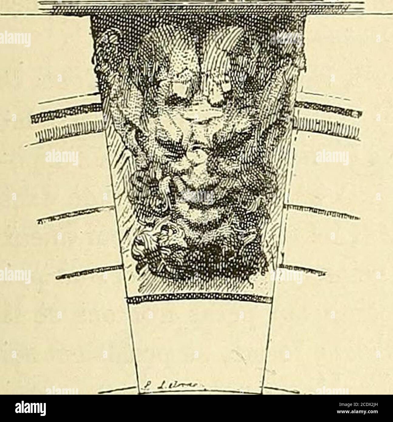 . Gazette des beaux-Arts . soient du temps de M de Carnavalet, et que ce soit pourelle Quail travaillé Goujon? En aucune façon; la figure existait; comecelle du claveau de la cour, elle était posée sur une sphère; cest celle-CI(jiii a fourni la i)ierre au ciseau quon a chargé de la changer en Masque, LHOTEL CARNAVALET. 17 et, comme cest une Reprise, il sagence mal et est dune taille tropgrande pour la figure avec laquelle il ne fait pas Corps. Il aurait mieuxvalu le dessiner sur la sphère et maintenir celle-CI, pour laisser sous lepieds de la déesse lappui raisonnable et traditionnel. De plu Stockfoto