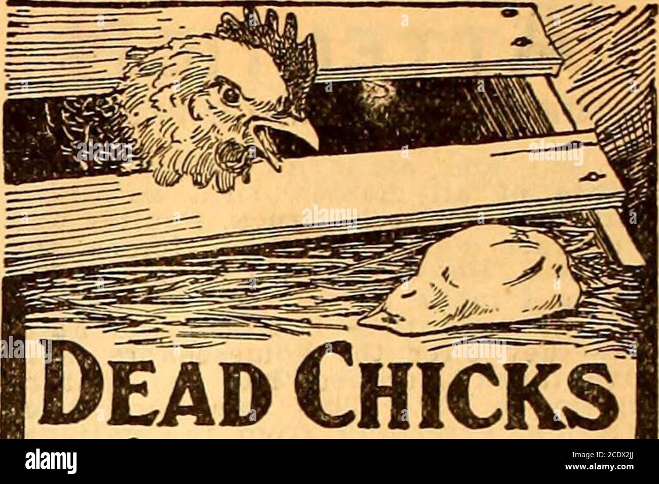 . Südlicher Blumentopf: Der praktischen und fortschrittlichen Landwirtschaft, dem Gartenbau, dem LKW-Transport, dem Viehbestand und dem Kamin gewidmet. Nicht lange in Benares, sondern nahm den ersten Zug weg. Als die Rechnung kam, wurde 21 Rupien (ca. 7 Dollar) für die Lackierung berechnet. Wir baten den Angestellten, uns zu fragen, was er damit meinte, eine solche Gebühr gegen uns zu bringen, als wir einen ganzen Tag nicht im Hotel waren. Nach einigem Zögern sagte er, dass es etwas Falsches geben müsse – dass unser Führer ihm gesagt habe, dass er reich sei und sich nicht darum kümmere, was für irgendetwas bezahlt werde. Wir versicherten ihm, dass dies ein großer Fehler war, und Co Stockfoto