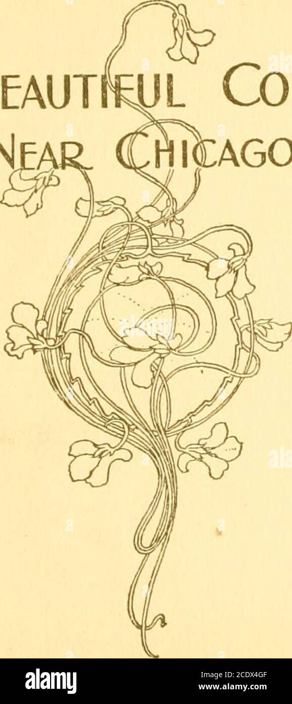 . Das schöne Land in der Nähe von Chicago . Copyright, 1900, durch den CHICAGO & North-Western Railway Co. INDEX. Arlington Heights 4; Austin 53 Austin Avenue §4 Avondale 37 Barrington 49 Batavia 74 CUntonvlle 78 Clyboum Junction 6 Cayler 6 Deering 5 des Plaines 42 Edison Park 38 Elgin 81 Elmhurst 62 Evanston 13 Fort Sheridan 2; Genf 73 Glencoe 21 Glen EUyn 66 Gross Park 6 Highland Park 22 High Ridge 9 Highwood 25 Irving Park 37 Jefferson Park 37 Kenilworth 17 Lake Bluff 29 Lake Forest 26 Lakeside 18 Lathrop Avenue 57 Lombard 65 Maplewood 37 Mayfair 37 Maywood 58 Melrose Park 5i Mount Prospect 42 Nein Stockfoto