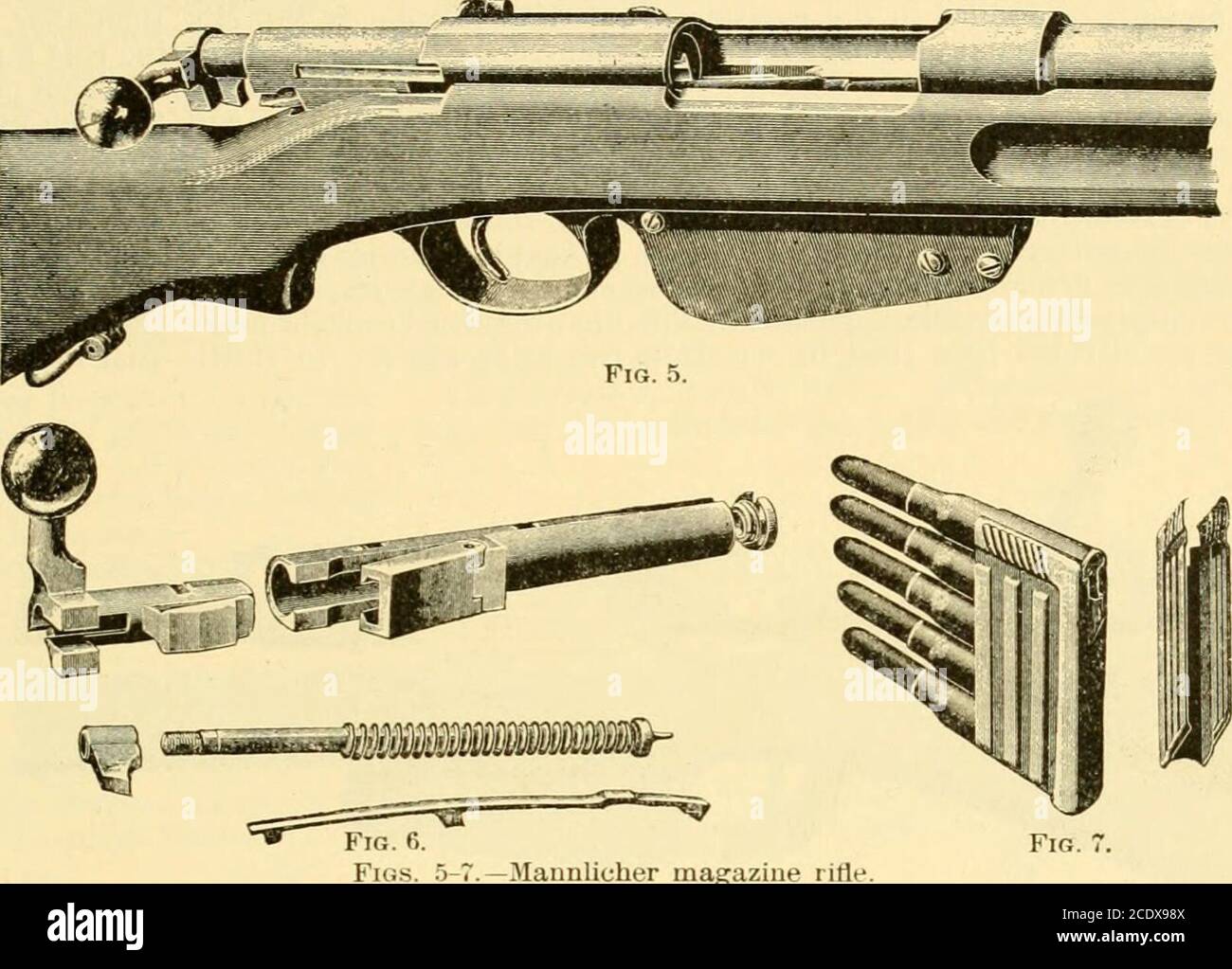 . Moderne Mechanismus, Ausstellung der neuesten Fortschritte in Maschinen, Motoren, und die Übertragung der Macht, als ein Ergänzungsband zu Appletons' Cyclopedia der angewandten Mechanik . e barreland extrahiert, Und sobald der letzte entfernt ist, fällt der Halter durch ein Loch in den Boden des Magazins und fällt auf den Boden. Ein weiterer interessanter Punkt ist, dass die Schraube keine Drehbewegung auf ihrer Achse hat. Er wird gerade ein- und ausgestoßen, und wird durch einen Adrop-Fang verschlossen. Sobald es zu Hause ist, nimmt der Fang gegen eine feste Projektion im Körper, die der rückwärigen Aktion des Puder-PR widersteht Stockfoto