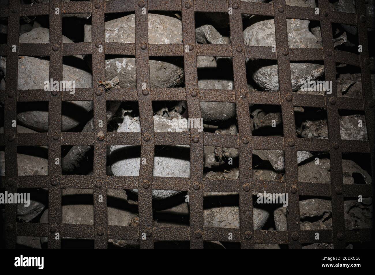 Die Schädel und andere Knochen mittelalterlicher Dorfbewohner liegen hinter dem alten inneren schmiedeeisernen Gitter, das den Eingang zum Gebeinhaus (Knochenhaus, Leichenhaus oder Beinhaus) unter der Alten St. Michaelskirche (alte Michaelskirche), der ehemaligen Pfarrkirche Alken an der Mosel in Rheinland-Pfalz, versperrt. Das Beinhaus wurde im frühen 15. Jahrhundert für neue Einbauten gesperrt. Skelettreste, die hier gelagert werden, sind alte Knochen, die vom kleinen Friedhof der Kirche übertragen wurden, um dort neue Bestattungen zu ermöglichen. Stockfoto