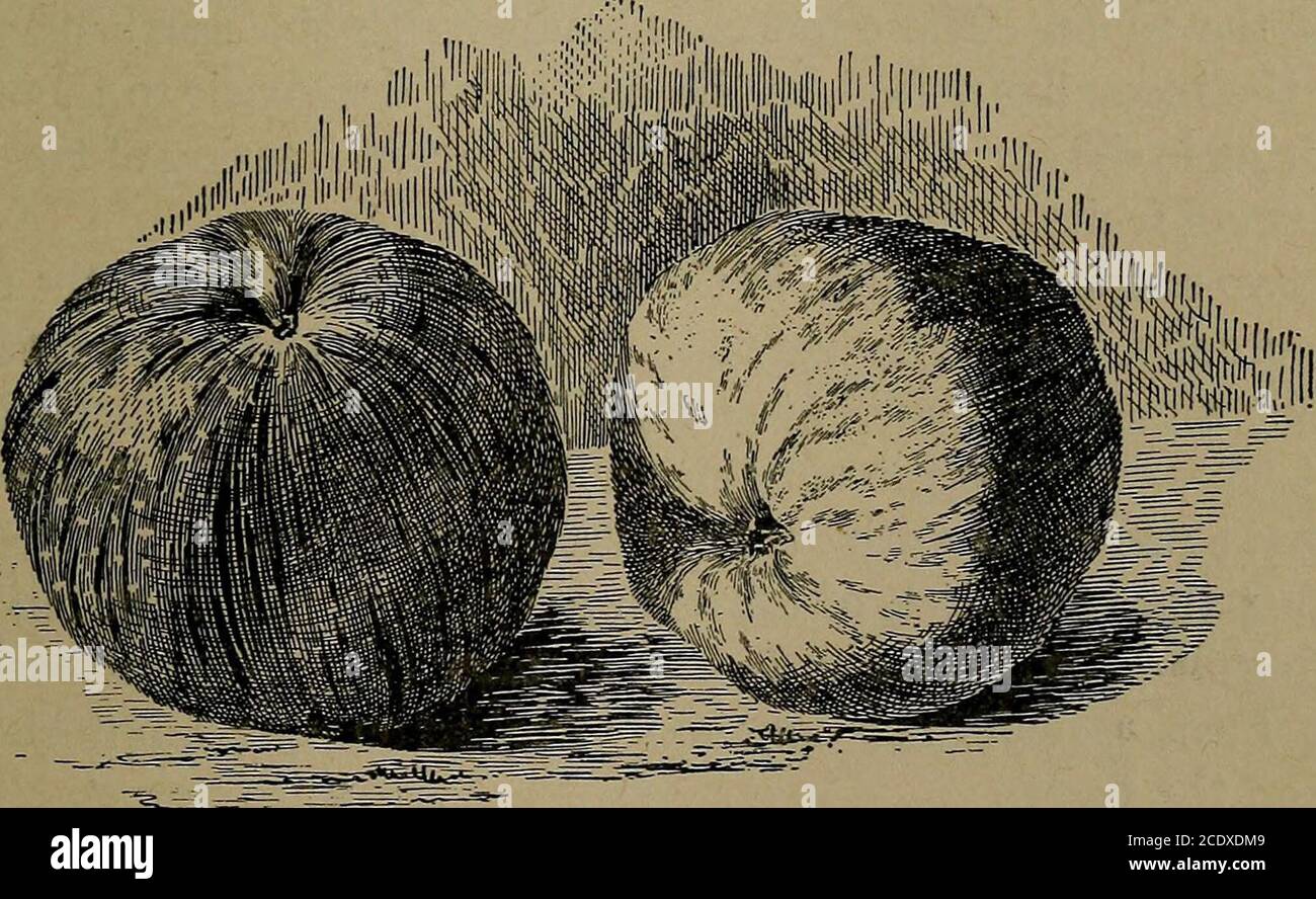 Von rom anleitung die glocken Die Glocken