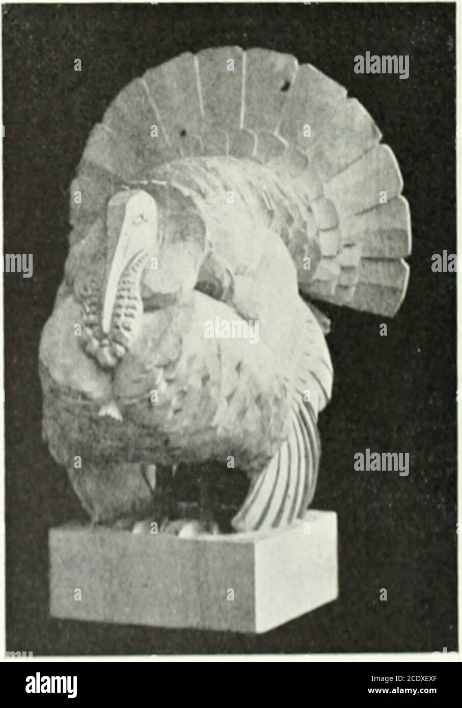 . Studio international . ¢ Herr J. S. m.l Delphiniums, â â â Mi. ID GT tfes, vonDistant T by Mr Wi â¢ .// The Heado) The St â Water Lui ly Mr. W. B. 1 nterioilently mit der Figur, will o the Wisp, herereproduced, ist von Miss TheodoraCowan, eine australische Bildhauerin, die ihre Ausbildung in Florenz erhielt.Miss Cowan, Wer nun in England angesiedelt ist, hat Büsten von SirEdmund Barton, dem australischen Staatsmann, und Professor Flinders Petrie, dem bedeutenden Ägyptologen, hingerichtet, die beide in den jeweiligen Seiten illustriert wurden. Auf der französisch-britischen Ausstellung erhielt sie eine Goldmedaille für ihre Arbeit. Jährlich Stockfoto